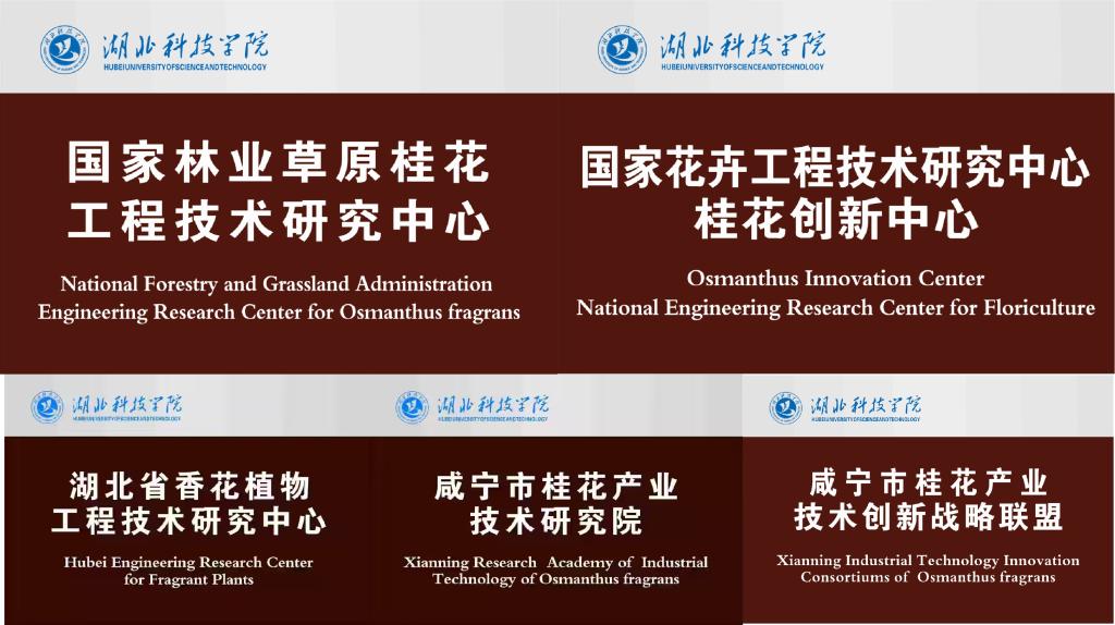 76net必赢官网