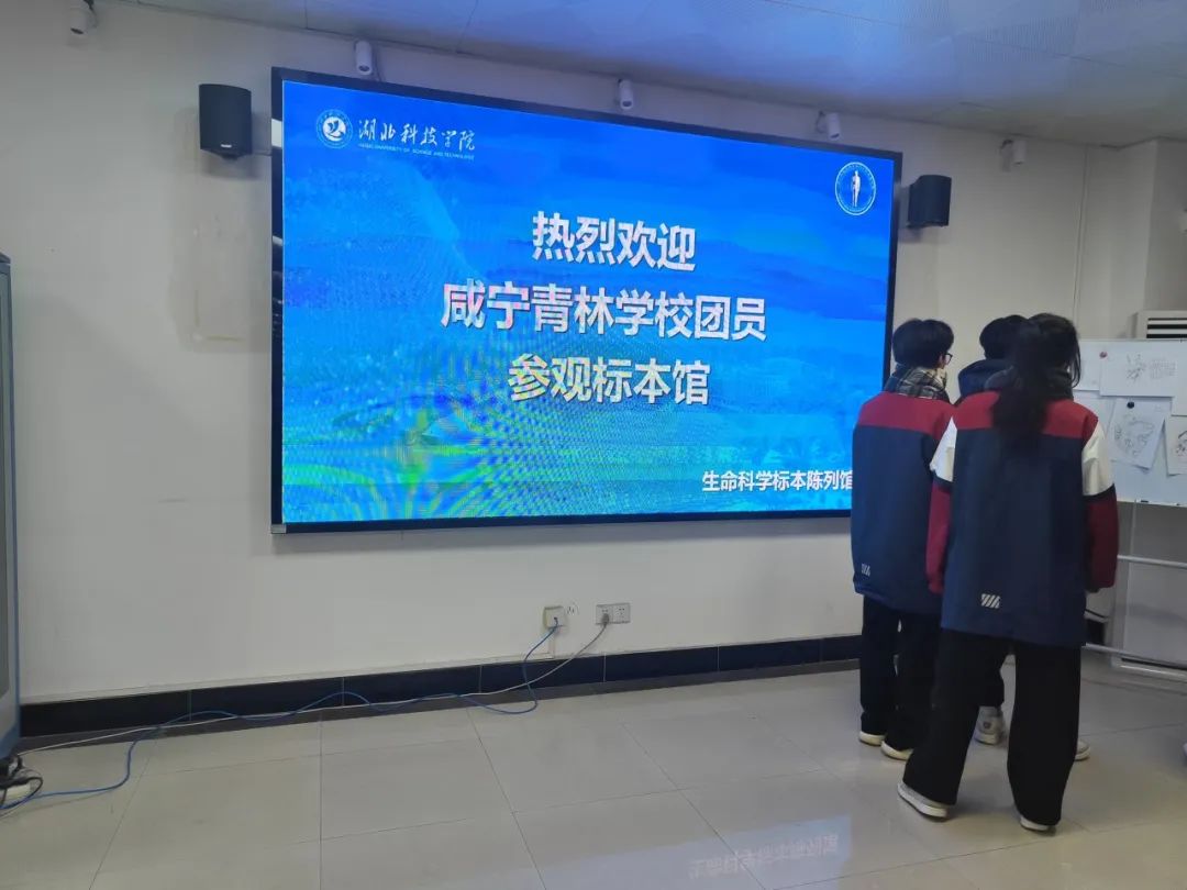 76net必赢官网